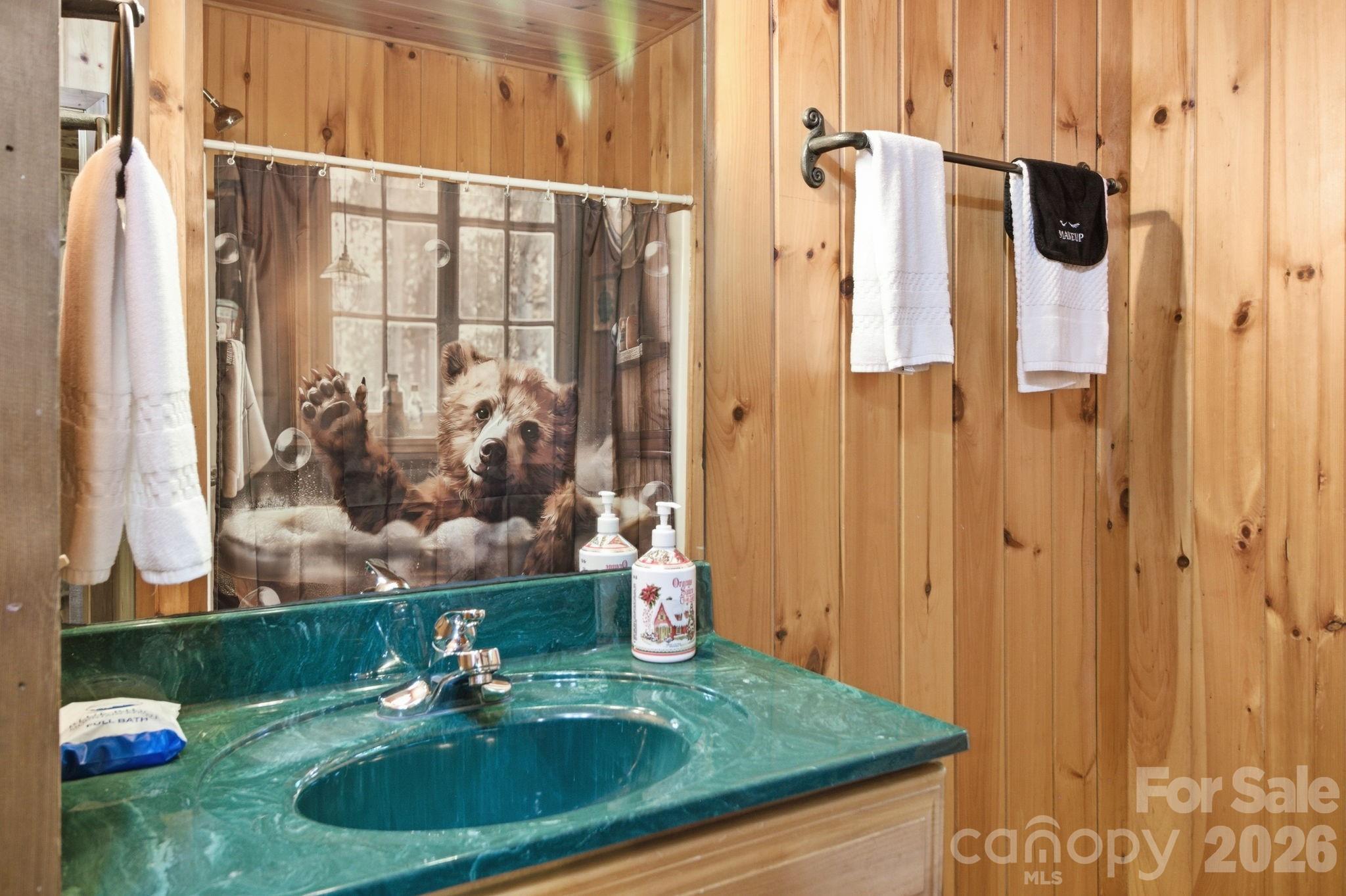 401 Saratoga Boone, NC 28607 - Photo 20 of 33
