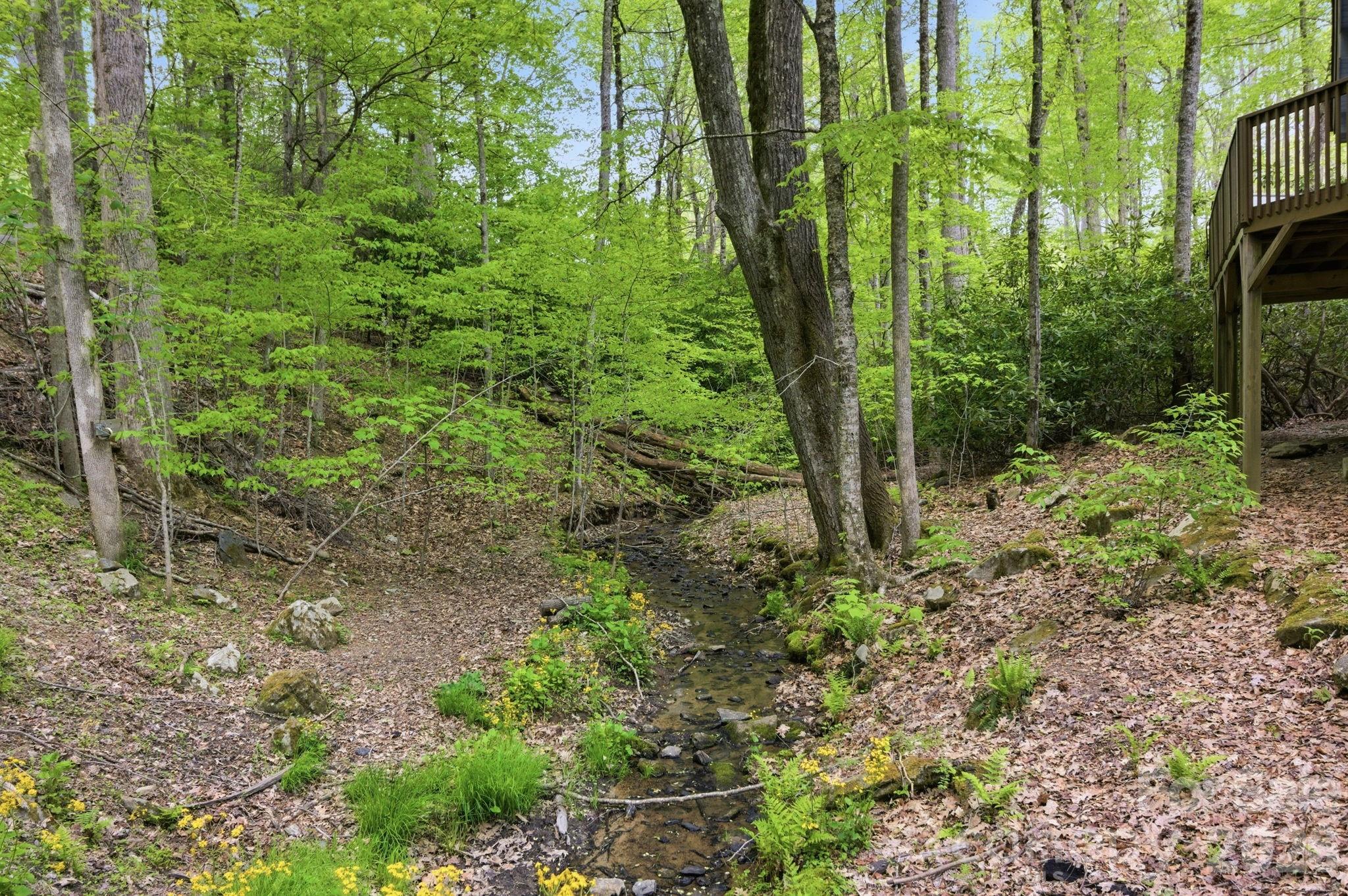 401 Saratoga Boone, NC 28607 - Photo 26 of 33