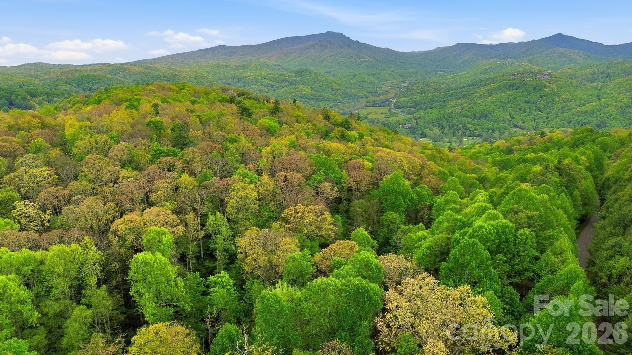401 Saratoga Boone, NC 28607 - Photo 31 of 33