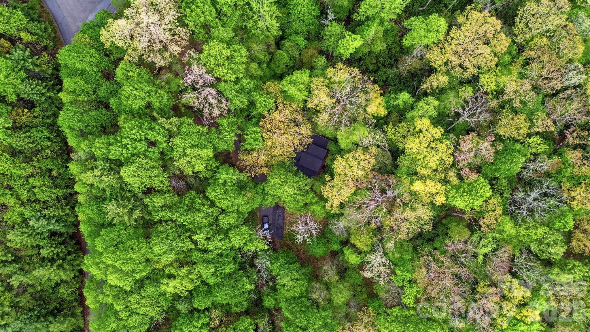401 Saratoga Boone, NC 28607 - Photo 32 of 33
