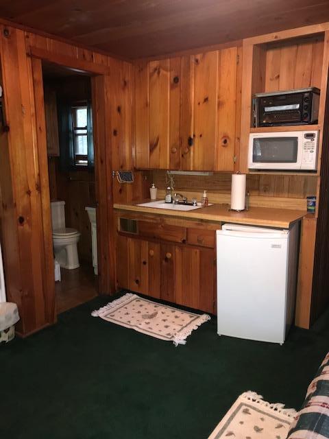 10983 Cope Road Onaway, MI 49765 - Photo 68 of 75 Gallery Image 68