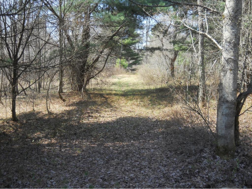300 Beeman Hill Road Greene, NY 13778 - Photo 11 of 22 Gallery Image 11