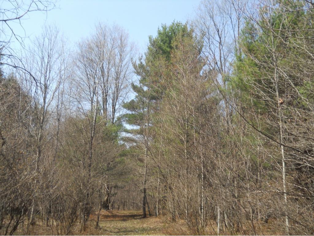 300 Beeman Hill Road Greene, NY 13778 - Photo 12 of 22 Gallery Image 12