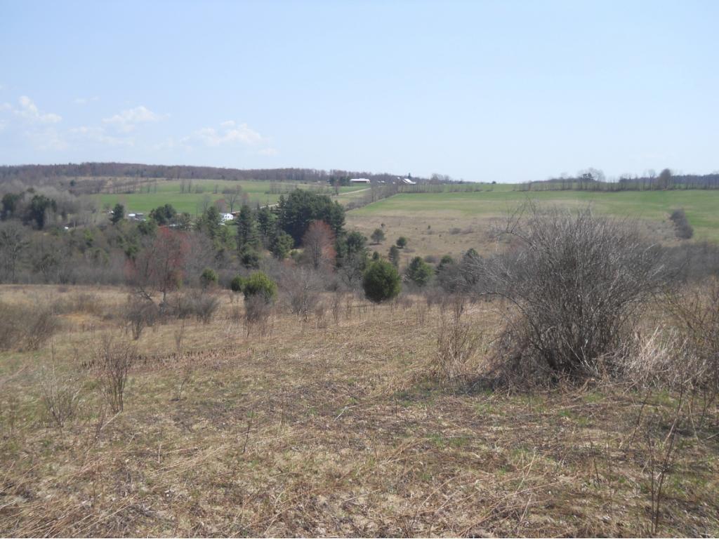 300 Beeman Hill Road Greene, NY 13778 - Photo 13 of 22 Gallery Image 13