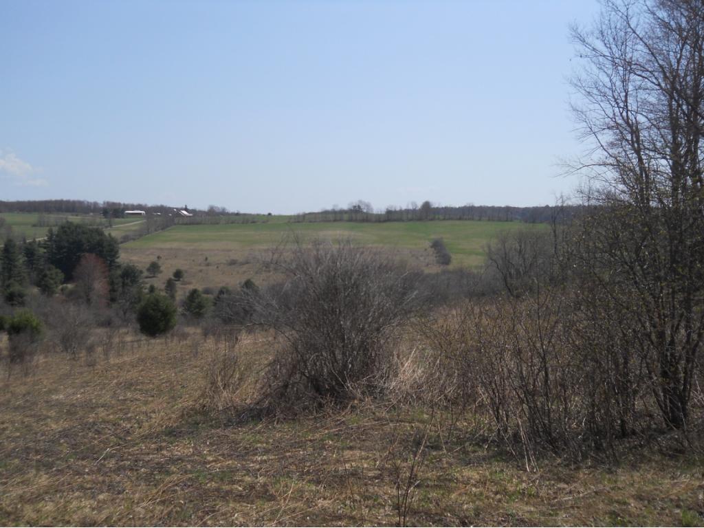 300 Beeman Hill Road Greene, NY 13778 - Photo 15 of 22 Gallery Image 15