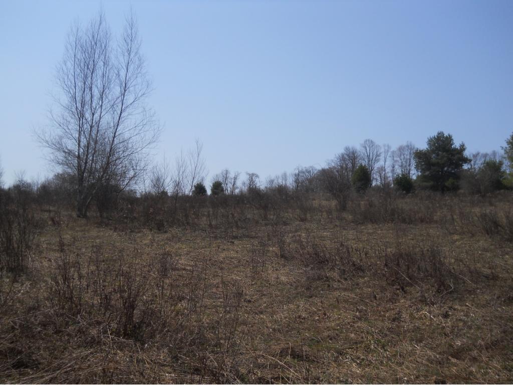 300 Beeman Hill Road Greene, NY 13778 - Photo 19 of 22 Gallery Image 19
