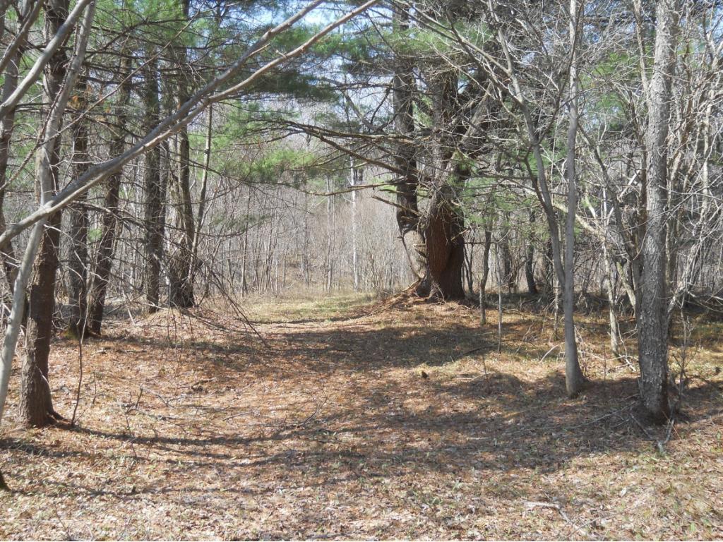 300 Beeman Hill Road Greene, NY 13778 - Photo 8 of 22 Gallery Image 8
