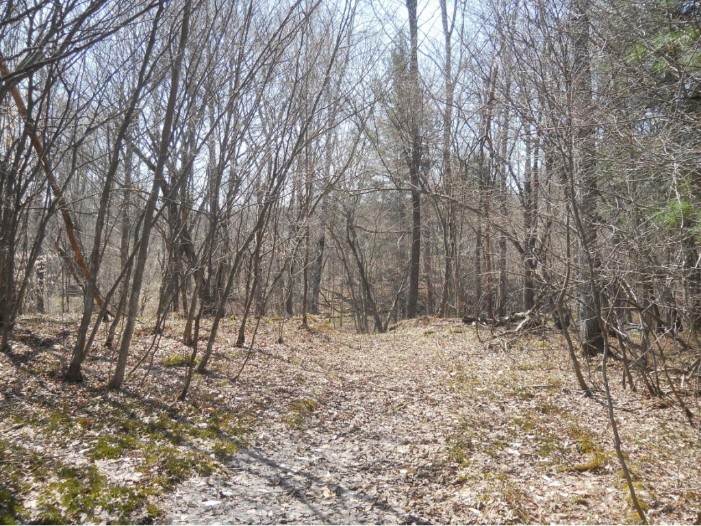 300 Beeman Hill Road Greene, NY 13778 - Photo 9 of 22 Gallery Image 9