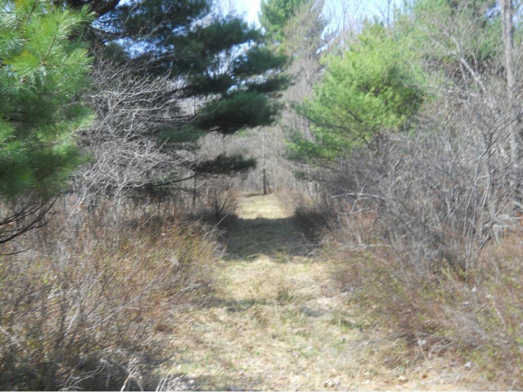 300 Beeman Hill Road Greene, NY 13778 - Photo 10 of 22 Gallery Image 10