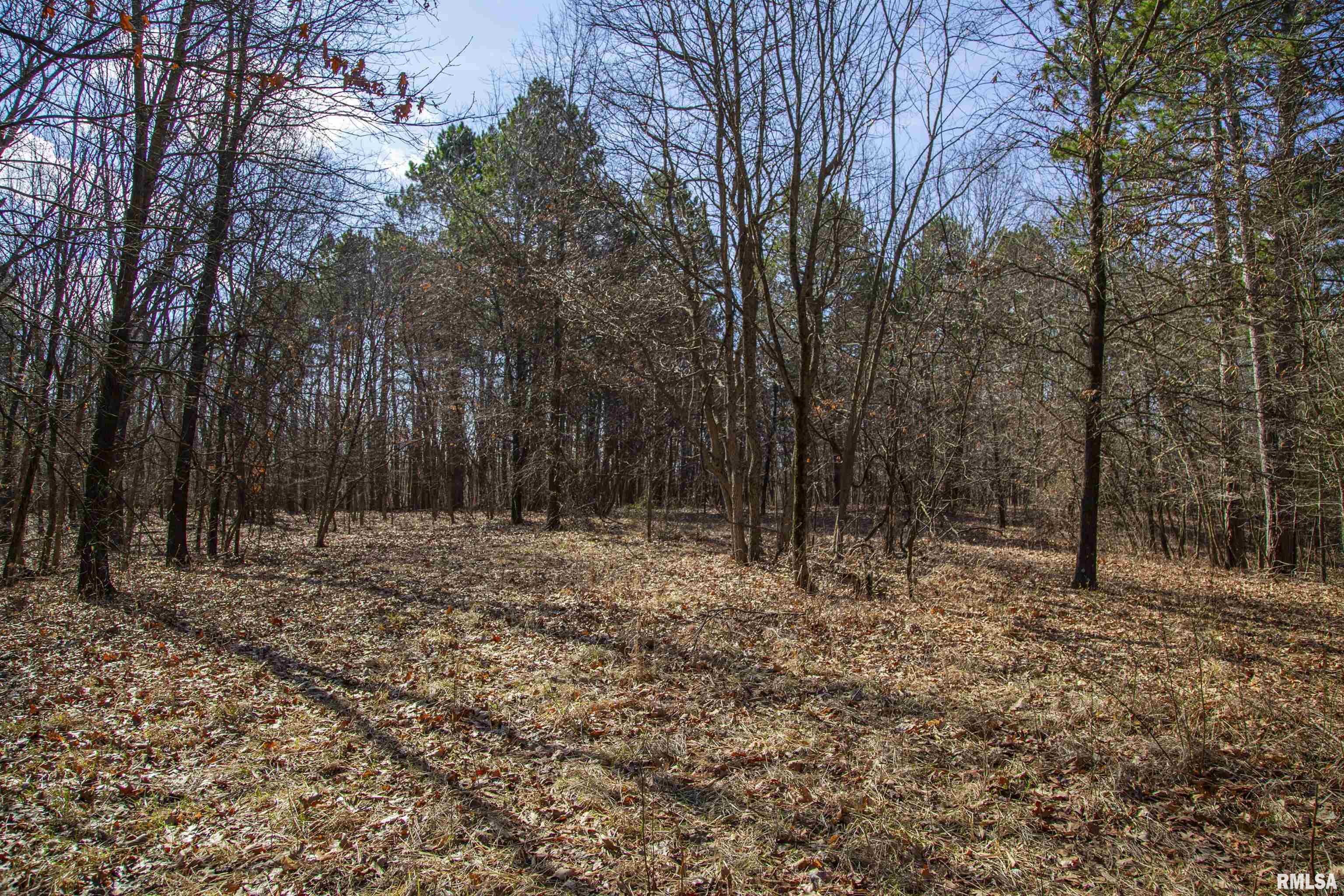 17217 North Dairy Farm Road Smithfield, IL 61477 - Photo 37 of 56 Gallery Image 37