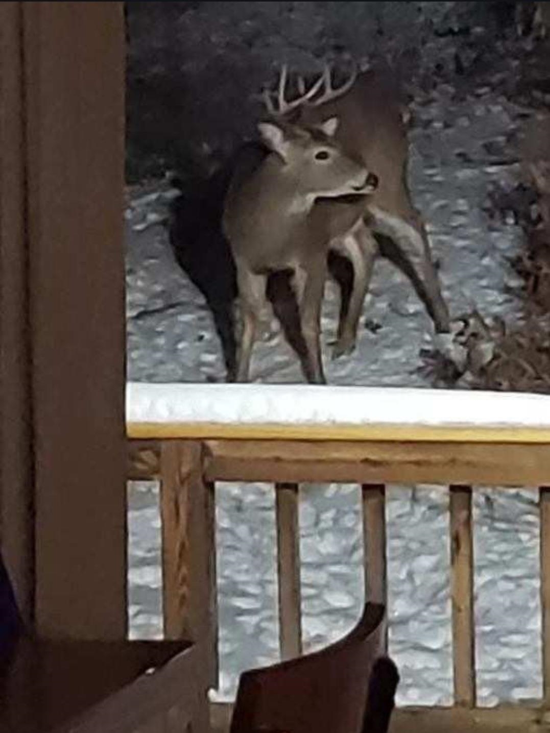 W4506 County Rd TT Wild Rose, WI 54984 - Photo 25 of 44