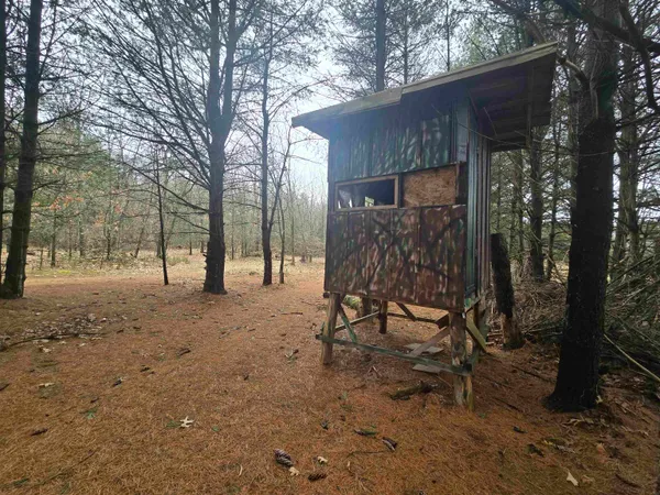 $380,000 | W4506 County Rd TT, Wild Rose, WI 54984