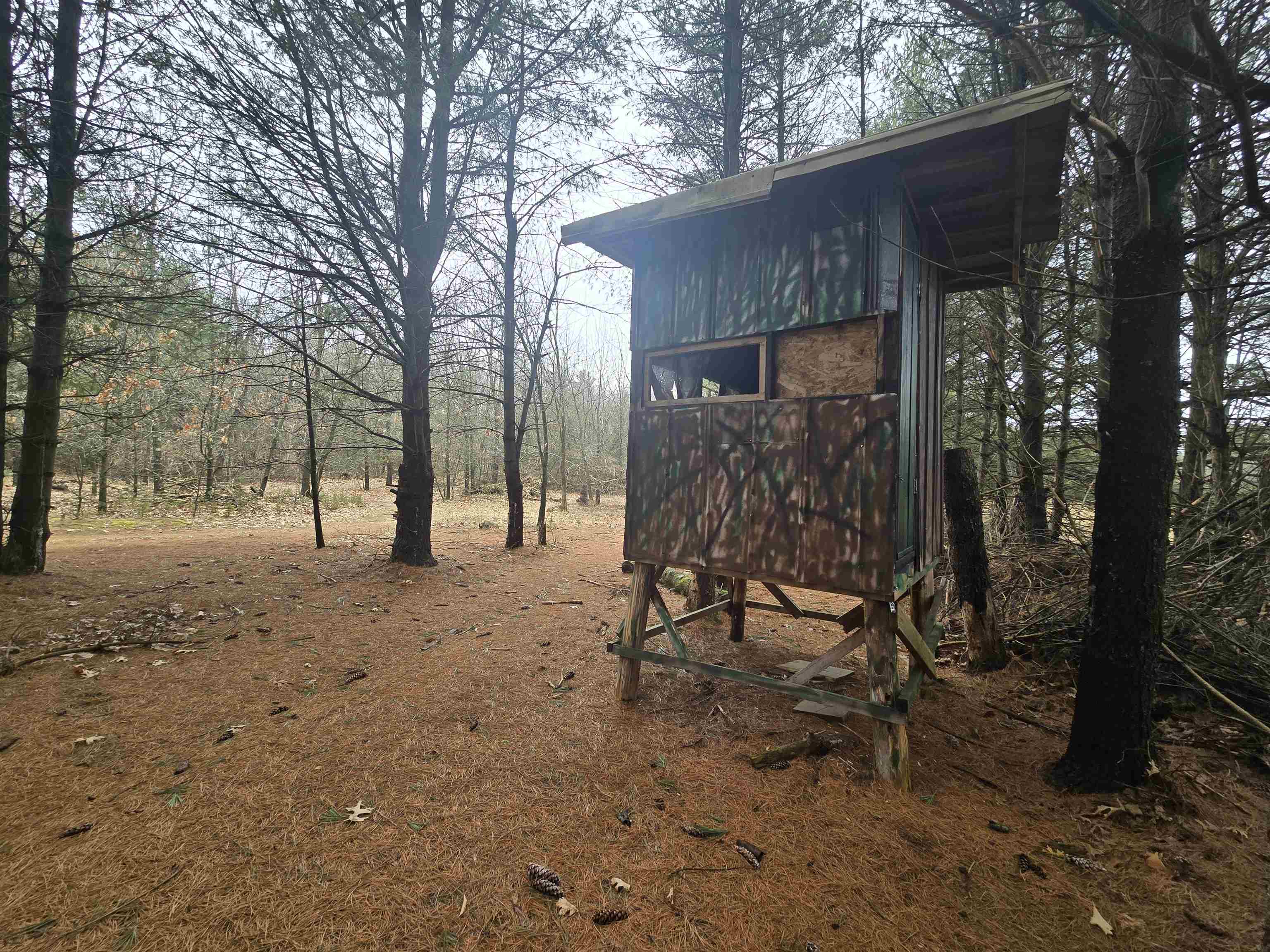 W4506 County Rd TT Wild Rose, WI 54984 - Photo 26 of 44