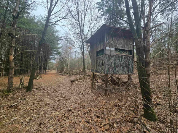 $380,000 | W4506 County Rd TT, Wild Rose, WI 54984