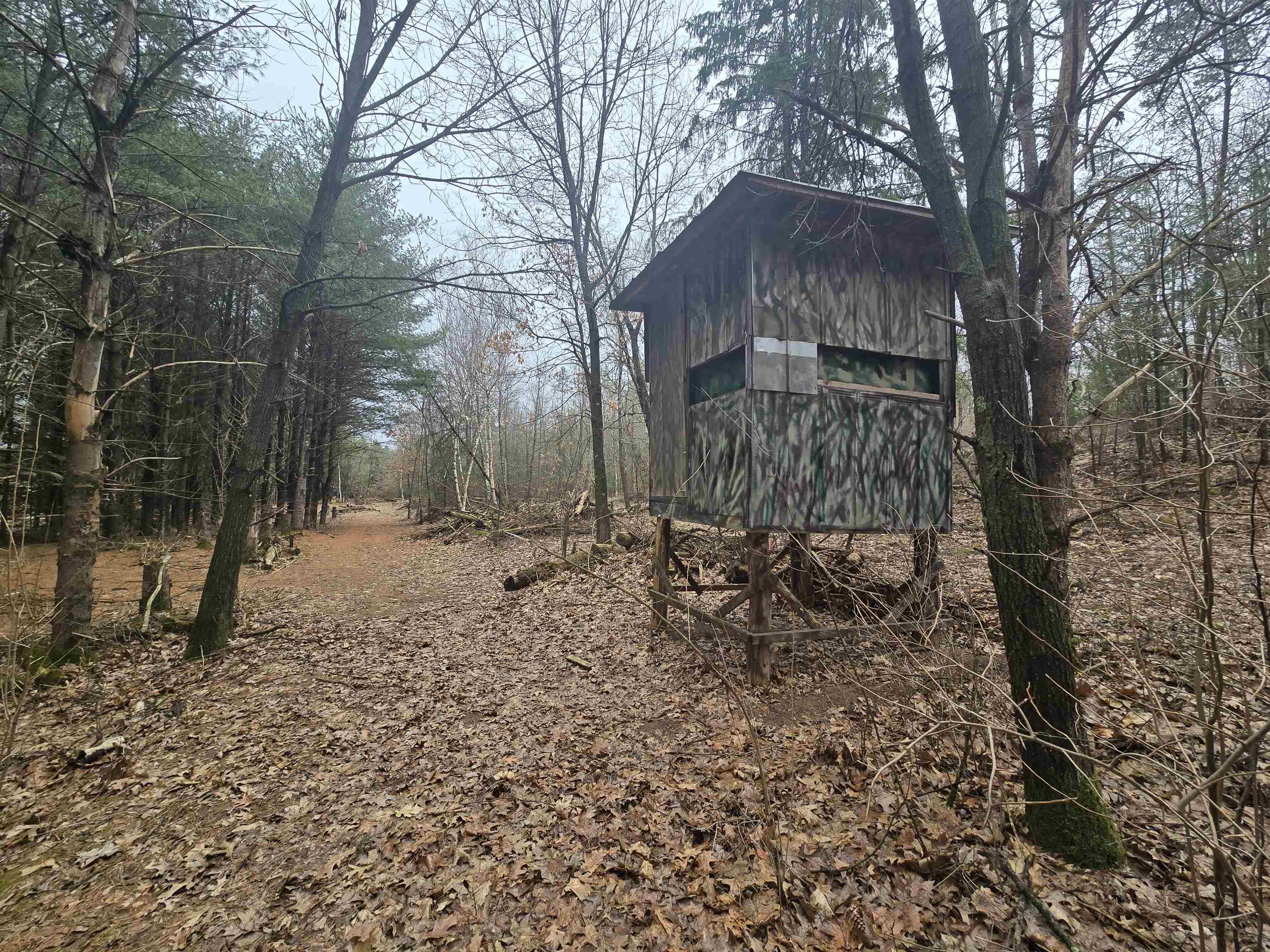 W4506 County Rd TT Wild Rose, WI 54984 - Photo 27 of 44