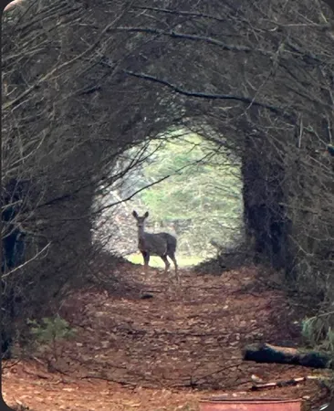 $380,000 | W4506 County Rd TT, Wild Rose, WI 54984