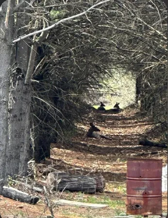 $380,000 | W4506 County Rd TT, Wild Rose, WI 54984