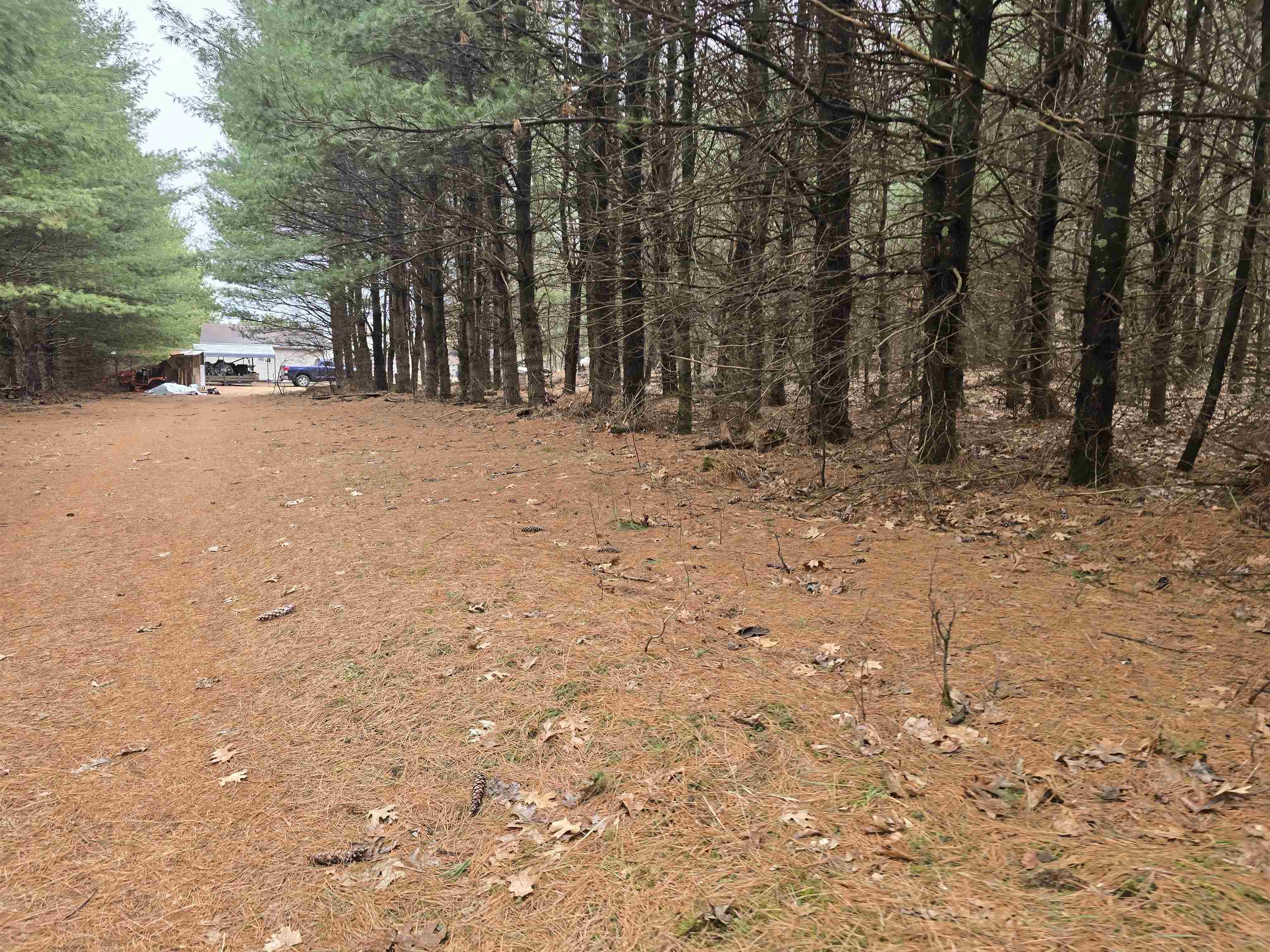 W4506 County Rd TT Wild Rose, WI 54984 - Photo 38 of 44