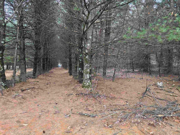 $380,000 | W4506 County Rd TT, Wild Rose, WI 54984