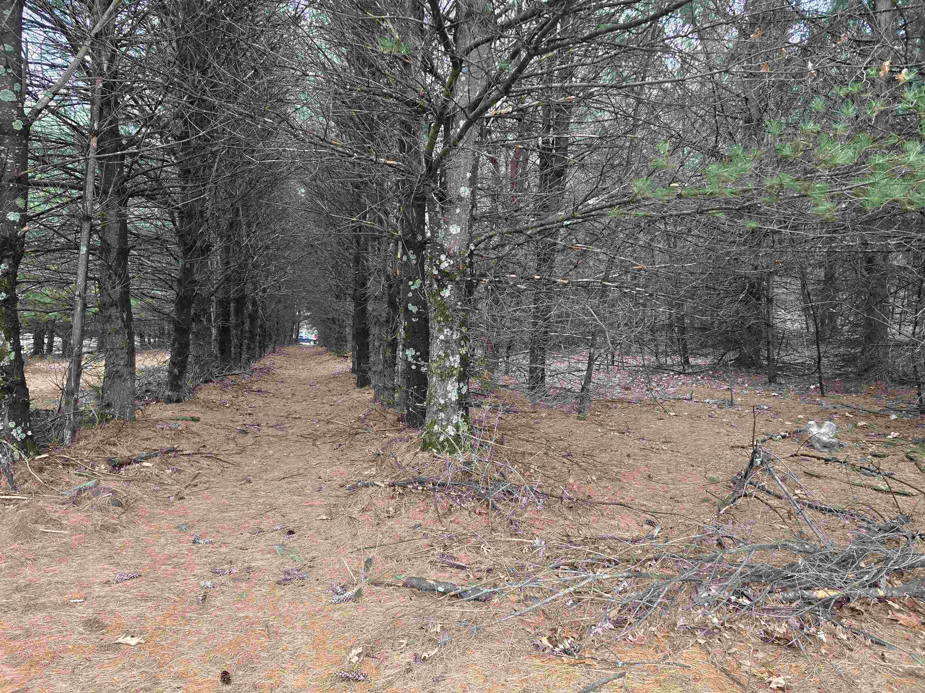 W4506 County Rd TT Wild Rose, WI 54984 - Photo 39 of 44