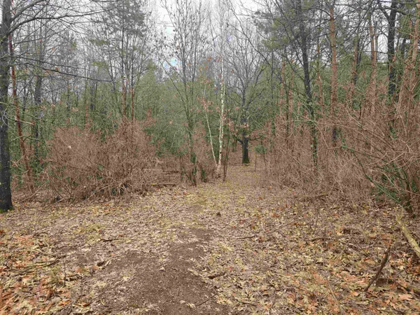 $380,000 | W4506 County Rd TT, Wild Rose, WI 54984