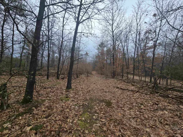 $380,000 | W4506 County Rd TT, Wild Rose, WI 54984