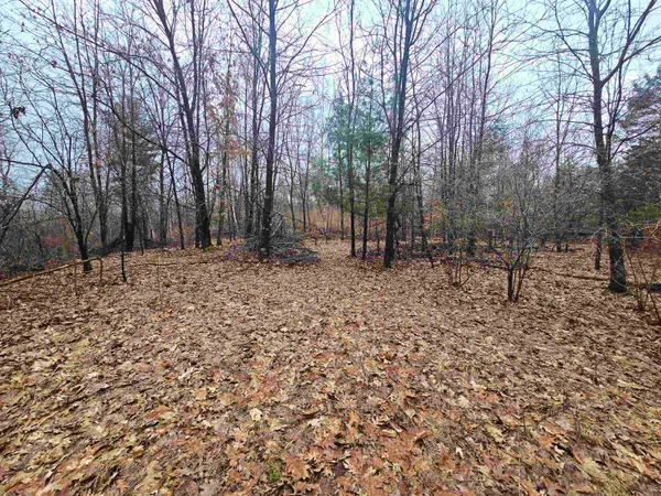 $380,000 | W4506 County Rd TT, Wild Rose, WI 54984