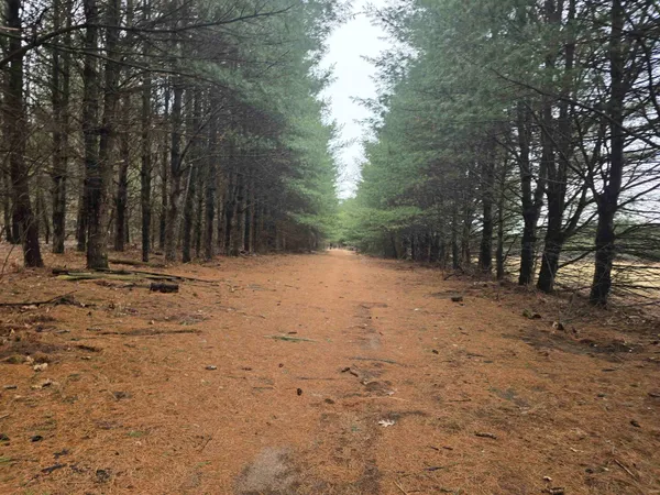 $380,000 | W4506 County Rd TT, Wild Rose, WI 54984