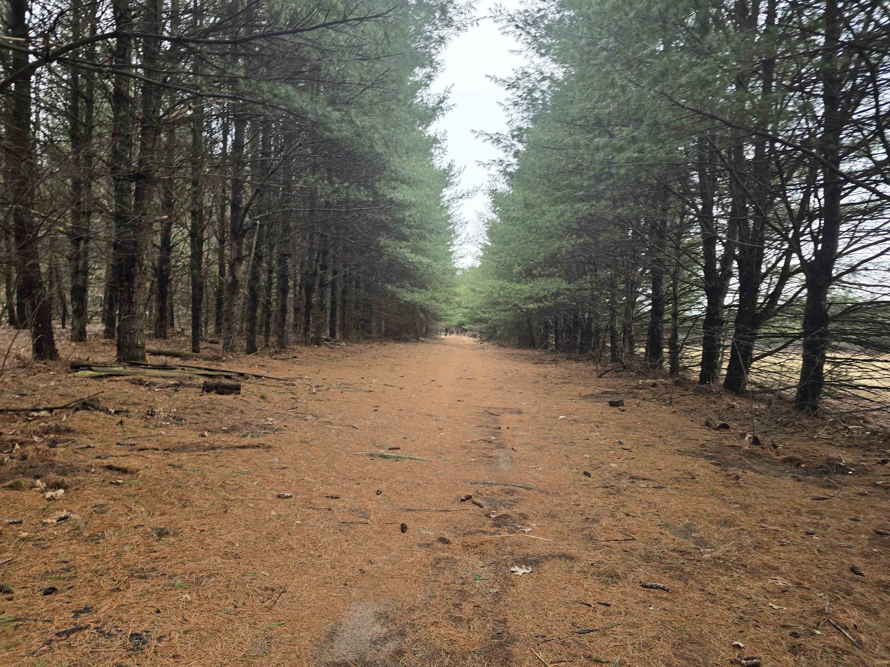 W4506 County Rd TT Wild Rose, WI 54984 - Photo 43 of 44