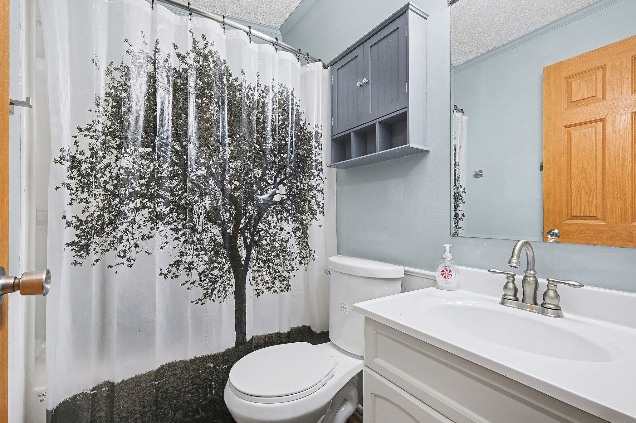 272 South Tabor Street Lyons, MI 48851 - Photo 10 of 16 010_file_805