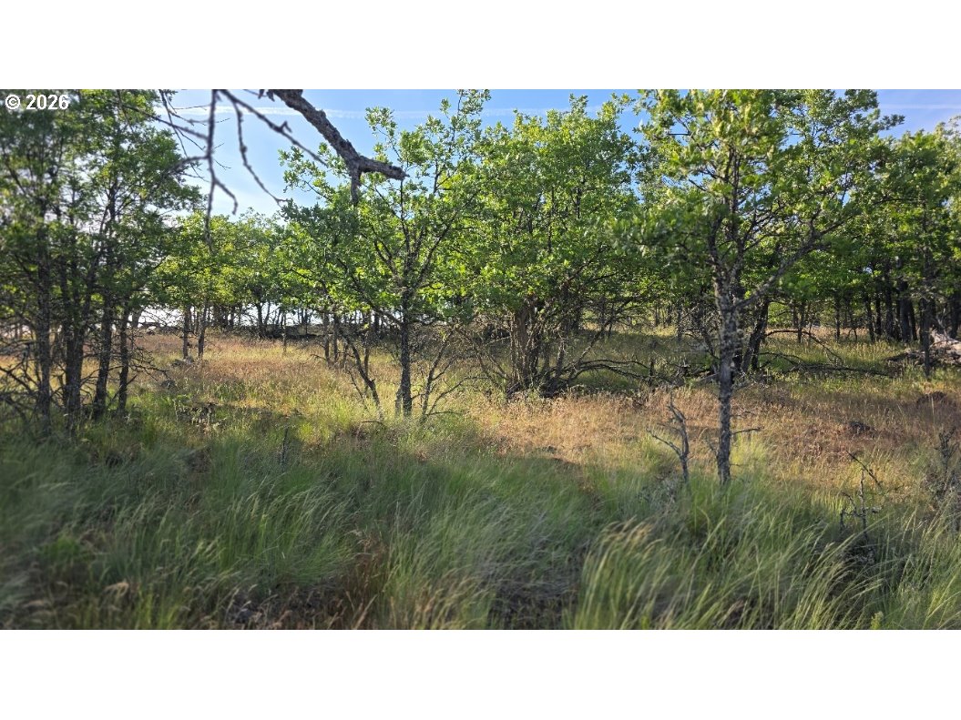 Meacham Road, Unit 2 Goldendale, WA 98620 - Photo 6 of 14 Gallery Image 6