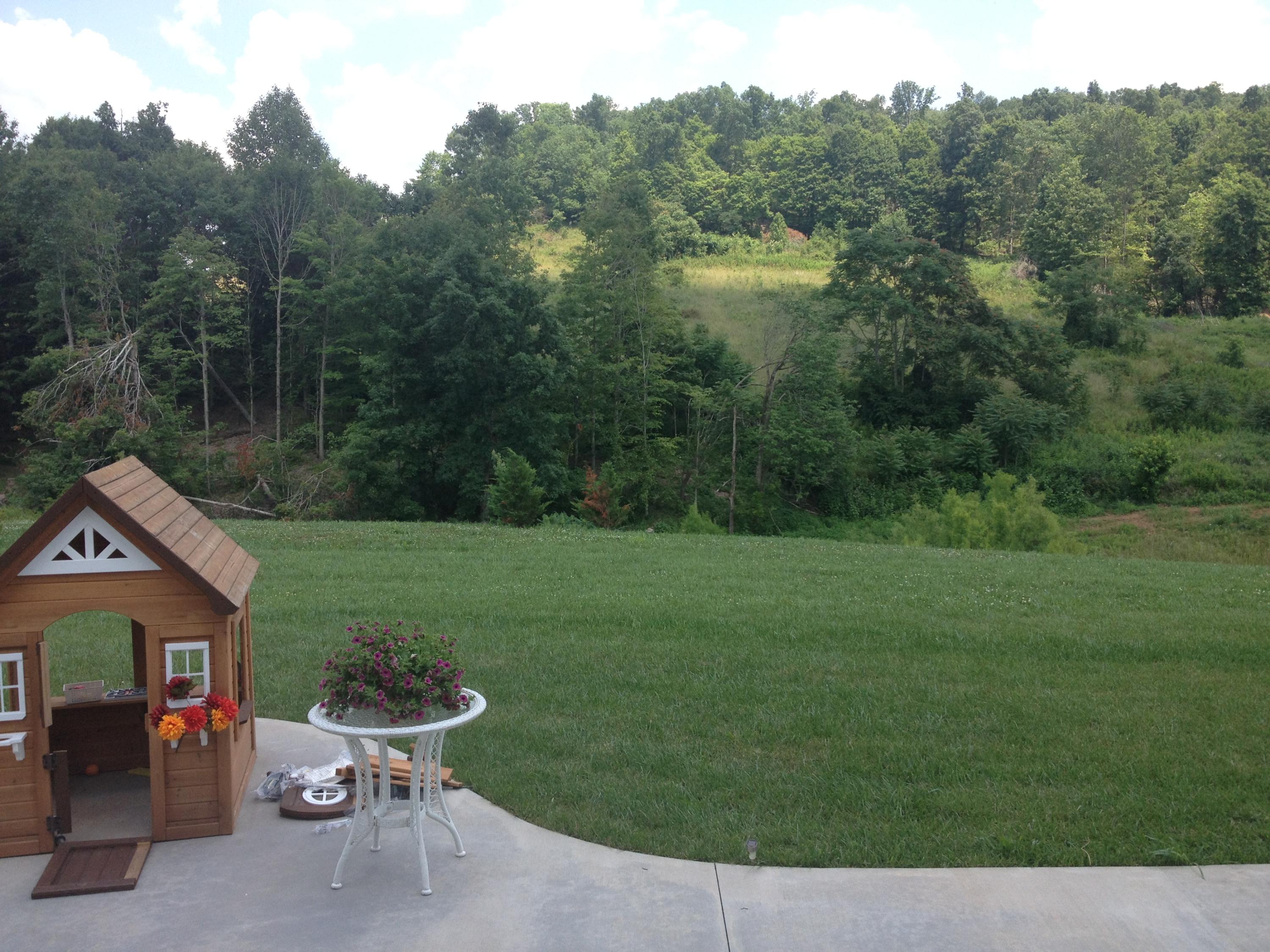 585 Bethlehem Road Rickman, TN 38580 - Photo 7 of 30 View from back porch