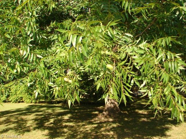 312 Springwood Road Asheboro, NC 27205 - Photo 37 of 38