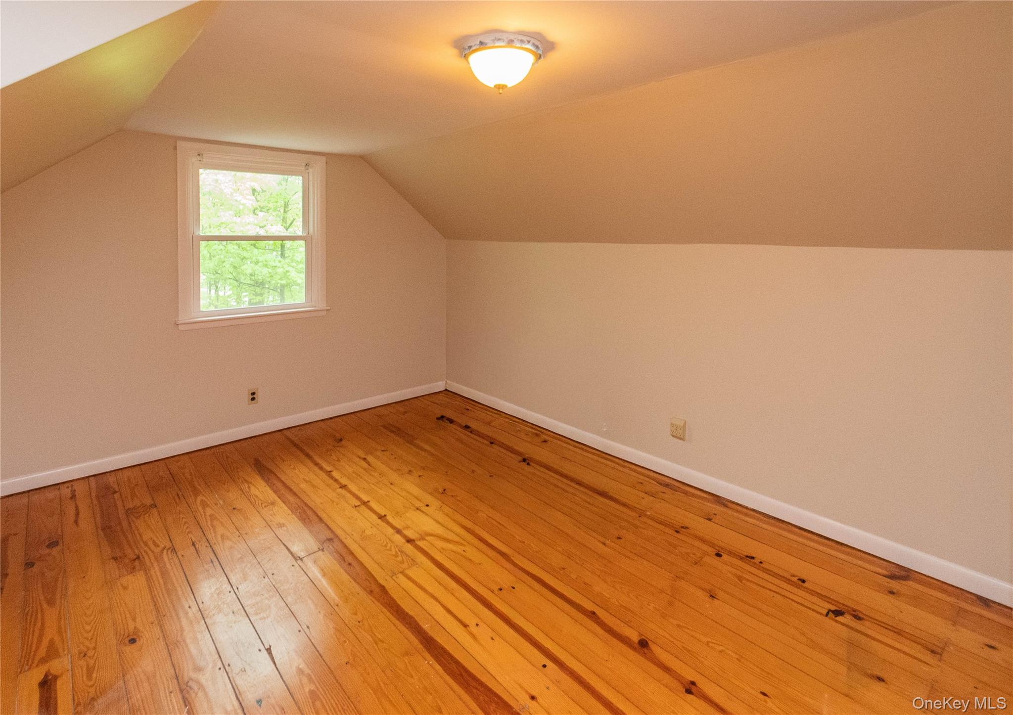 543 Dosen Road Middletown, NY 10940 - Photo 18 of 25 Room featuring wood-finish flooring, a double-hung window with white trim, and a ceiling-mounted light fixture