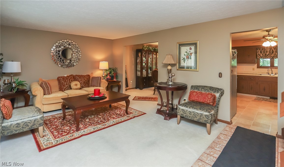 13760 Milo Road Cleveland, OH 44125 - Photo 2 of 33