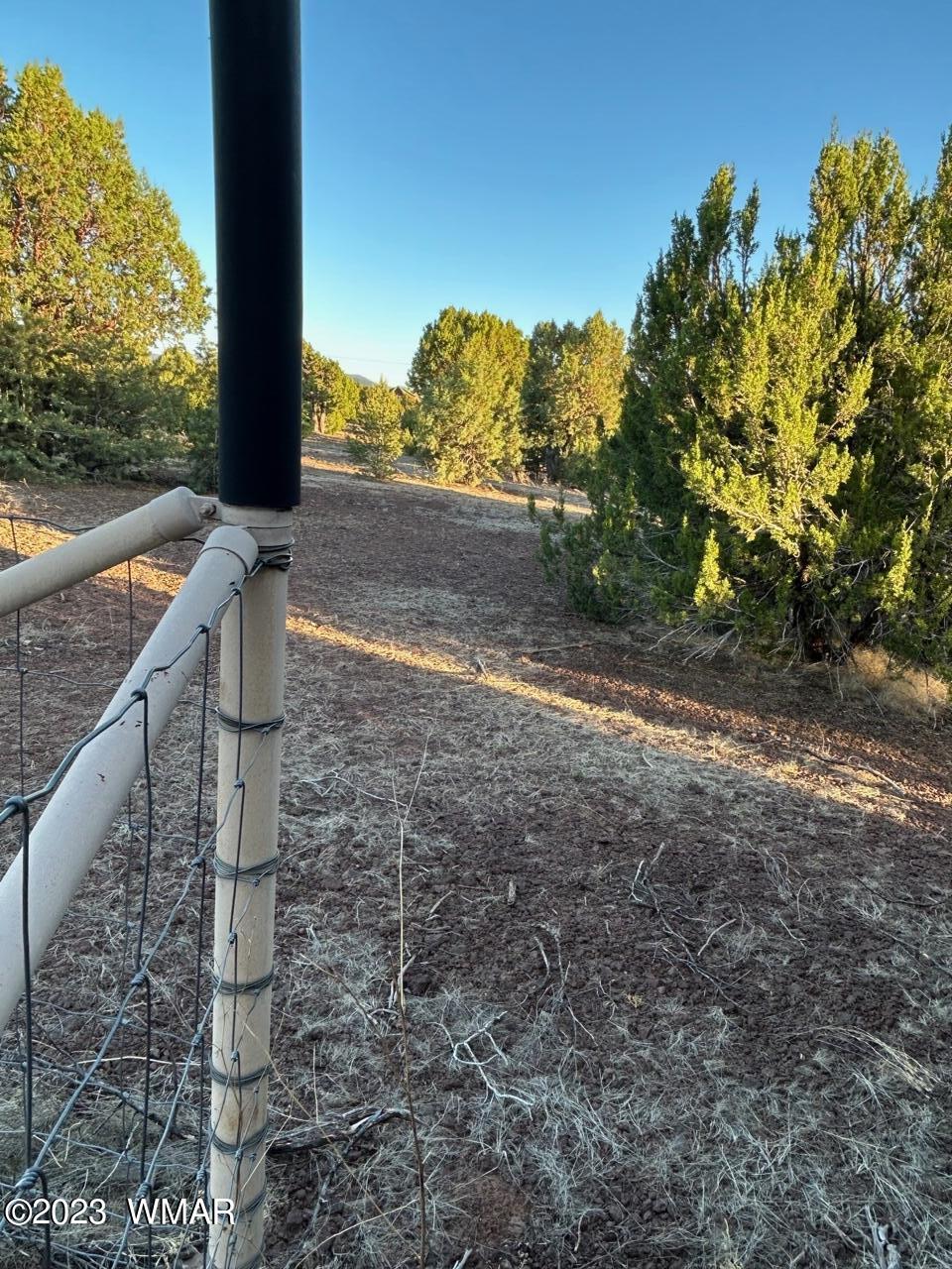 Lot 24 Mountain Pine Road Concho, AZ 85924 - Photo 4 of 5