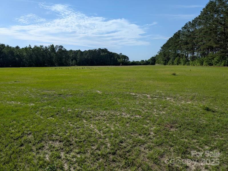 2128 North Fifth Street Hartsville, SC 29550 - Photo 2 of 10