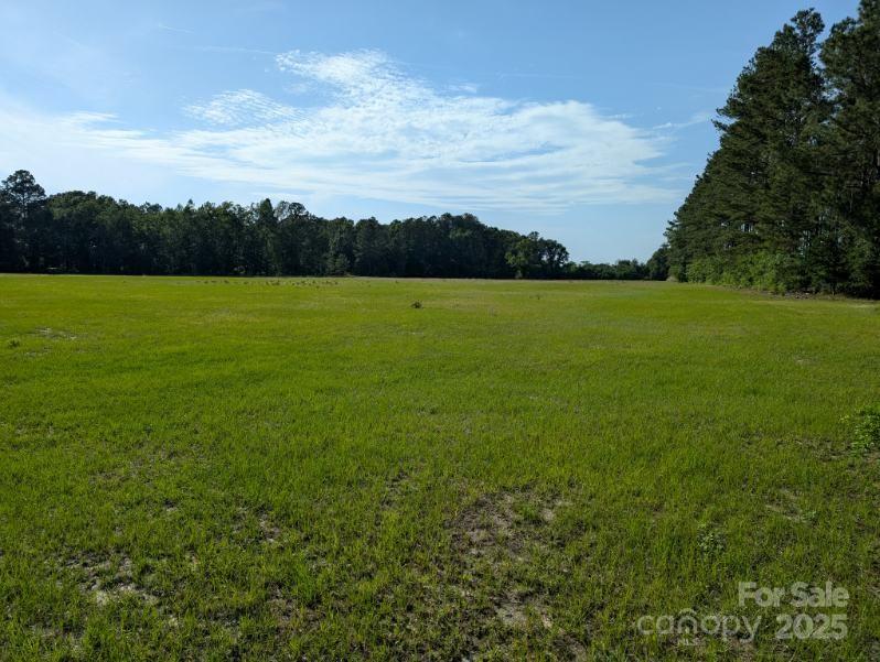 2128 North Fifth Street Hartsville, SC 29550 - Photo 5 of 10
