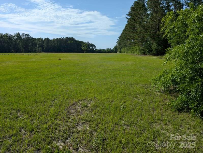 2128 North Fifth Street Hartsville, SC 29550 - Photo 6 of 10