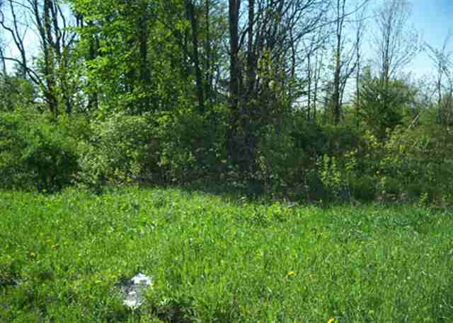 3 A Cable Road Johnstown, NY 12095 - Photo 3 of 4 Photo 3