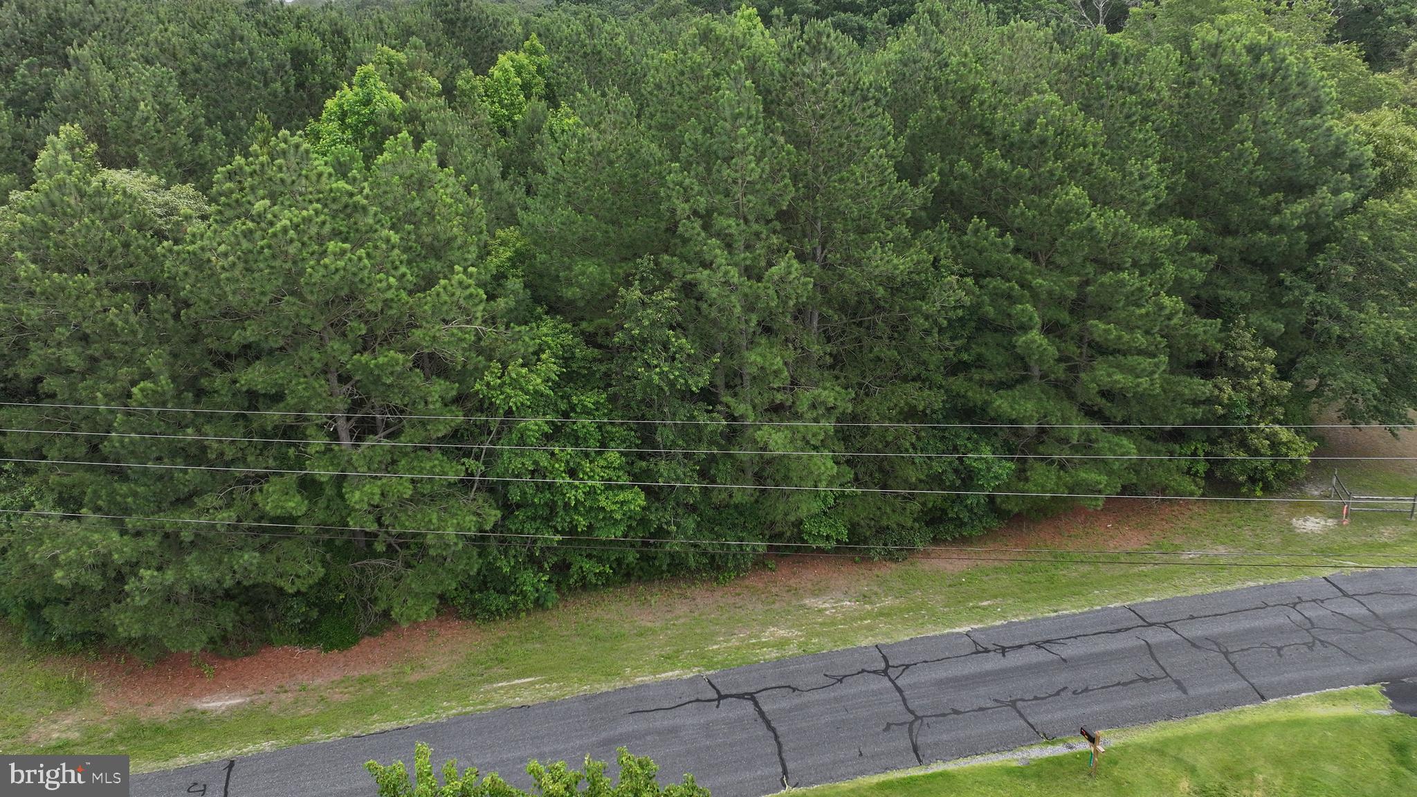 0 Helms Landing Road Dagsboro, DE 19939 - Photo 3 of 10