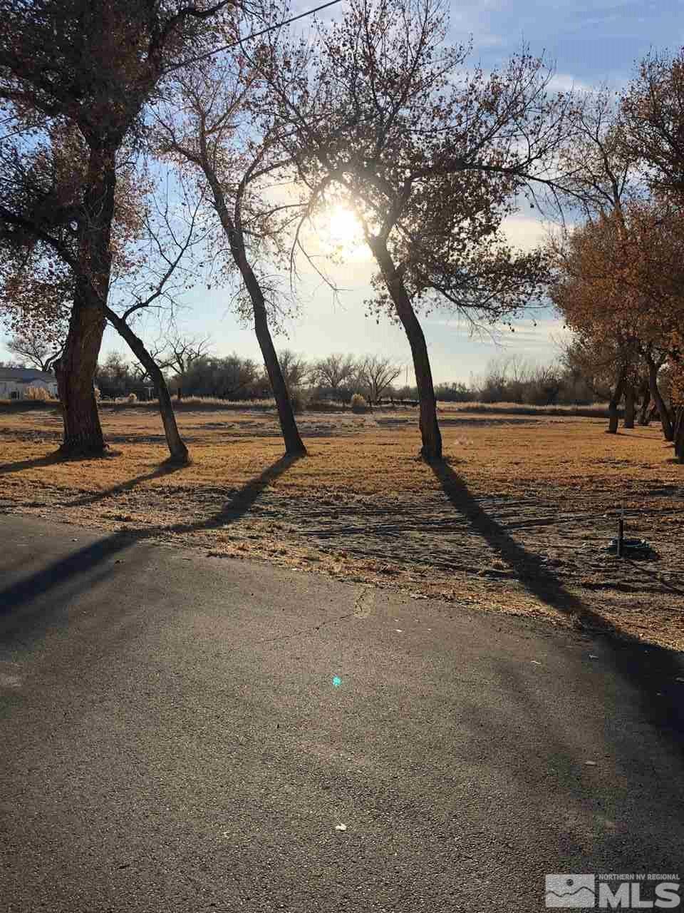 617 Peaceful Way Fallon, NV 89406 - Photo 3 of 3 Photo 3