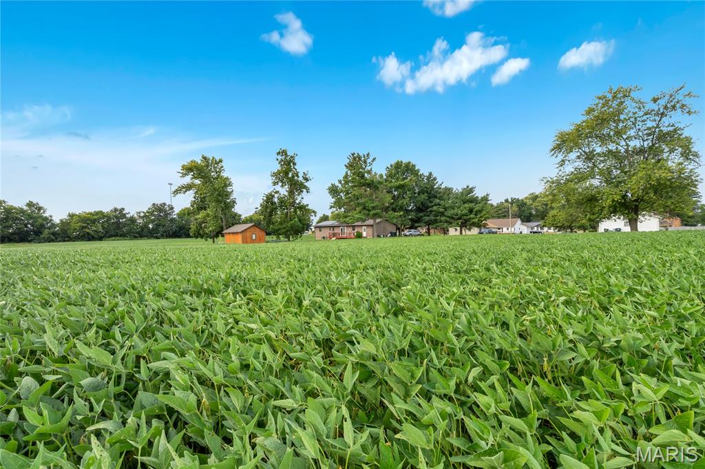 Lot 2 East Back Street Hecker, IL 62248 - Photo 9 of 9