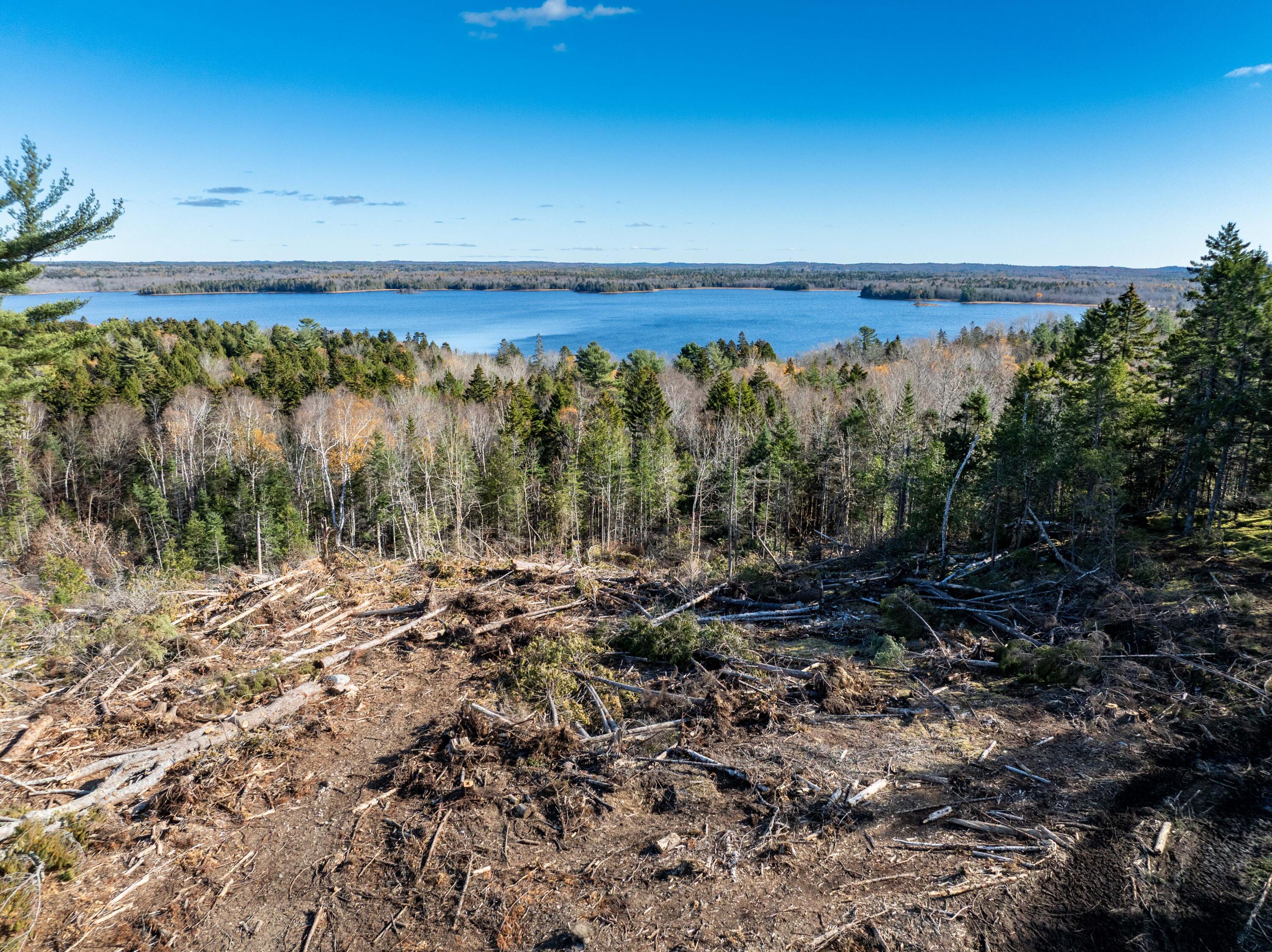 177 Means Cottage Road East Machias, ME 04630 - Photo 27 of 49