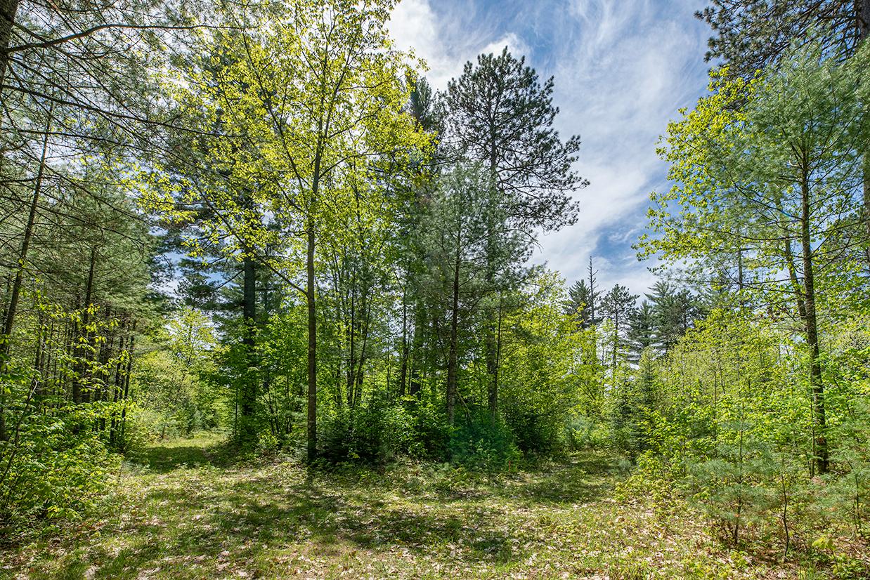 On Dam Road, Unit 85 ACRES Eagle River, WI 54521 - Photo 20 of 41 Gallery Image 20