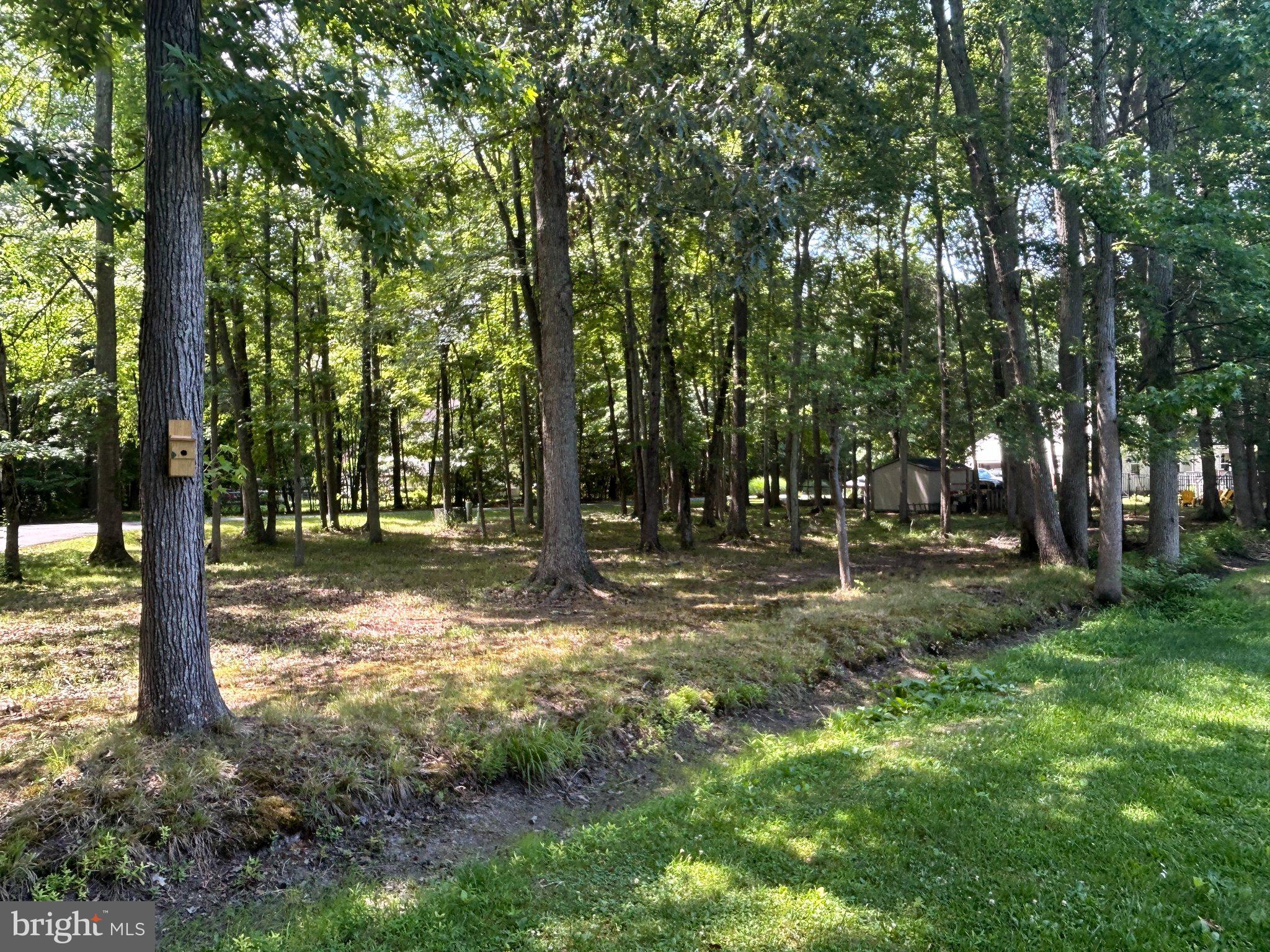 1582 Snug Road Shady Side, MD 20764 - Photo 6 of 6 Serene wooded retreat awaits you.
