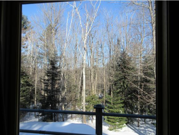 49 Three Pond Road Peru, VT 05152 - Photo 25 of 25