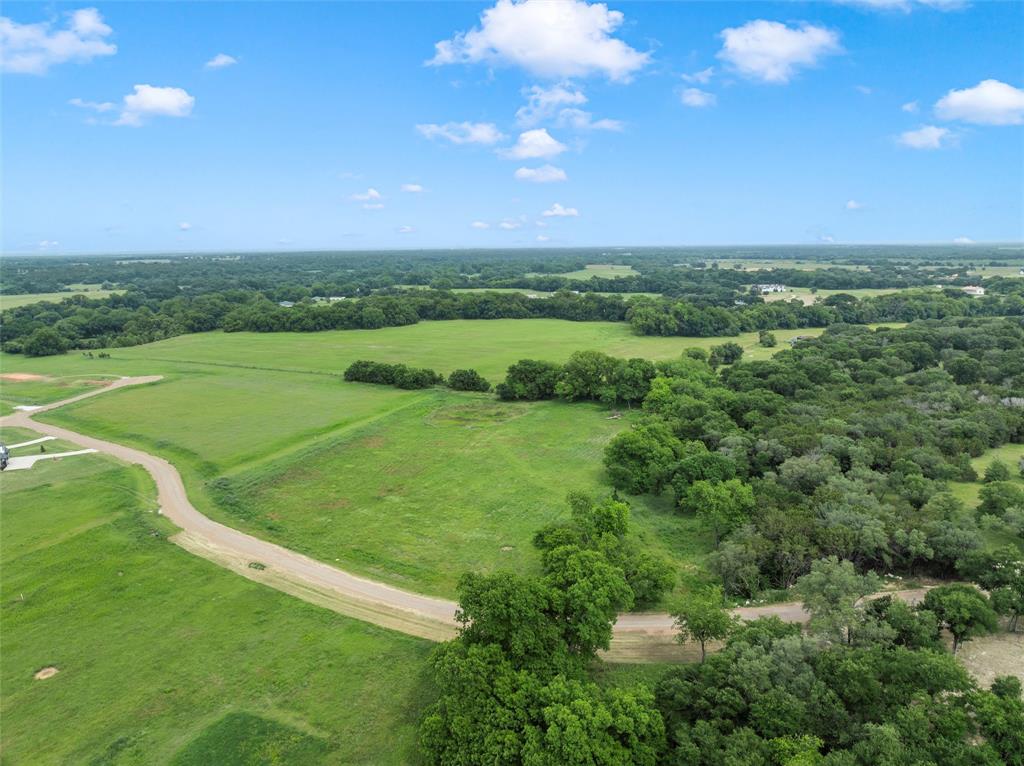a view of a big green field with lots of bushes