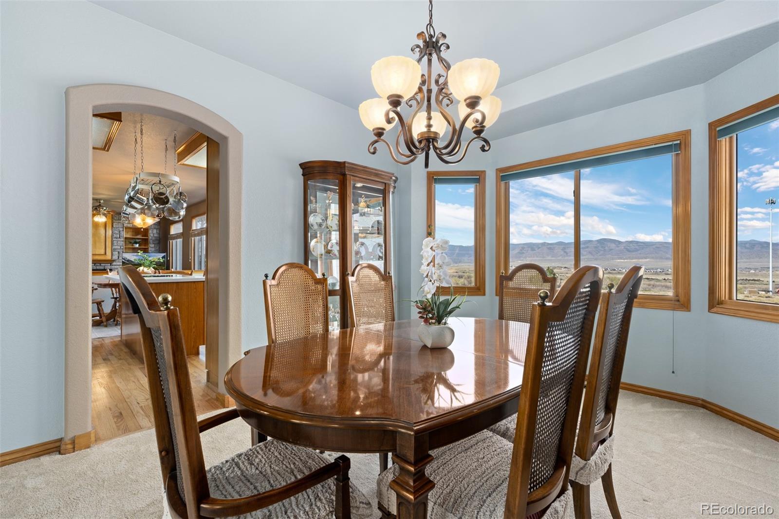 10335 Baneberry Place Highlands Ranch, CO 80129 - Photo 15 of 43