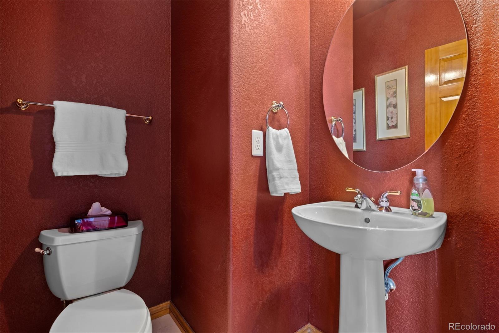 10335 Baneberry Place Highlands Ranch, CO 80129 - Photo 17 of 43